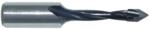 Magnate 1730 Thru-Bore Boring Bit, 10mm Shank x 58mm OAL - 4.0mm Cutting Diameter