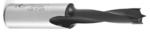 Amana 201006 Brad Point Right-Handed Boring Bit, 57mm OAL x 10mm Shank - 6.0mm Cutting Diameter; 27mm Cutting Height, Carbide Tipped