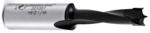 Amana 201007 Brad Point Right-Handed Boring Bit, 57mm OAL x 10mm Shank - 1/4" Cutting Diameter; 27mm Cutting Height, Carbide Tipped