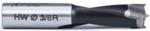 Amana 201009 Brad Point Right-Handed Boring Bit, 57mm OAL x 10mm Shank - 3/8" Cutting Diameter; 27mm Cutting Height, Carbide Tipped
