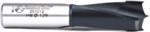 Amana 201012 Brad Point Right-Handed Boring Bit, 57mm OAL x 10mm Shank - 12mm Cutting Diameter; 27mm Cutting Height, Carbide Tipped