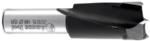Amana 201015 Brad Point Right-Handed Boring Bit, 57mm OAL x 10mm Shank - 15mm Cutting Diameter; 27mm Cutting Height, Carbide Tipped