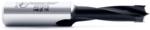Amana 201070 Brad Point Right-Handed Boring Bit, 57mm OAL x 10mm Shank - 7mm Cutting Diameter; 27mm Cutting Height, Carbide Tipped