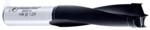 Amana 202012 Brad Point Right-Handed Boring Bit, 77mm OAL x 10mm Shank - 12mm Cutting Diameter; 44mm Cutting Height, Carbide Tipped