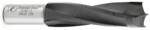 Amana 204012 Brad Point Right-Handed Boring Bit, 70mm OAL x 10mm Shank - 12mm Cutting Diameter; 35mm Cutting Height, Carbide Tipped