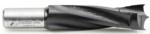 Amana 204013 Brad Point Right-Handed Boring Bit, 70mm OAL x 10mm Shank - 1/2" Cutting Diameter; 35mm Cutting Height, Carbide Tipped