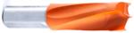 Amana 301013 Brad Point Left-Handed Boring Bit, 57mm OAL x 10mm Shank - 1/2" Cutting Diameter; 27mm Cutting Height, Carbide Tipped