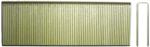 Magnate BN32 16 Gauge 1/2" Crown Galvanized Staple - 1-1/4" Length; Count/Pack
